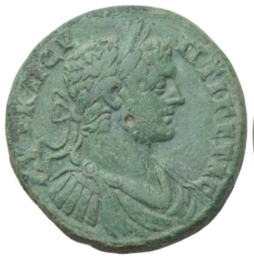 Roses-Are-Red-.....-My-Geta-Is-Green